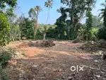 PLOT FOR SALE IN THENGANA