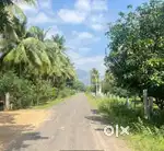 Farm land for sale at Alagarkovil Near