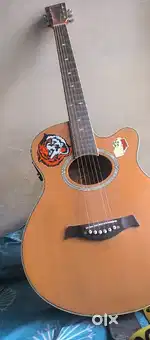 Semi Acoustic Guitar