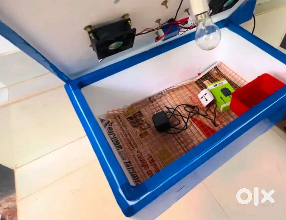 Manuel Incubator (മാനുവൽ ഇൻകുബേറ്റർ)