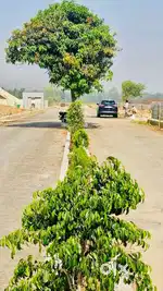 Developed plot in lucknow