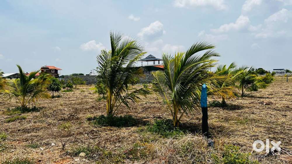 Land for Sale – Arun Highway Garden, Pottalurani (Thoothukudi – Tirune