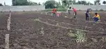 Shamshabad Shahbad Highway open plots