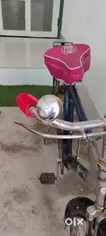 Hercules bicycle captain Rino