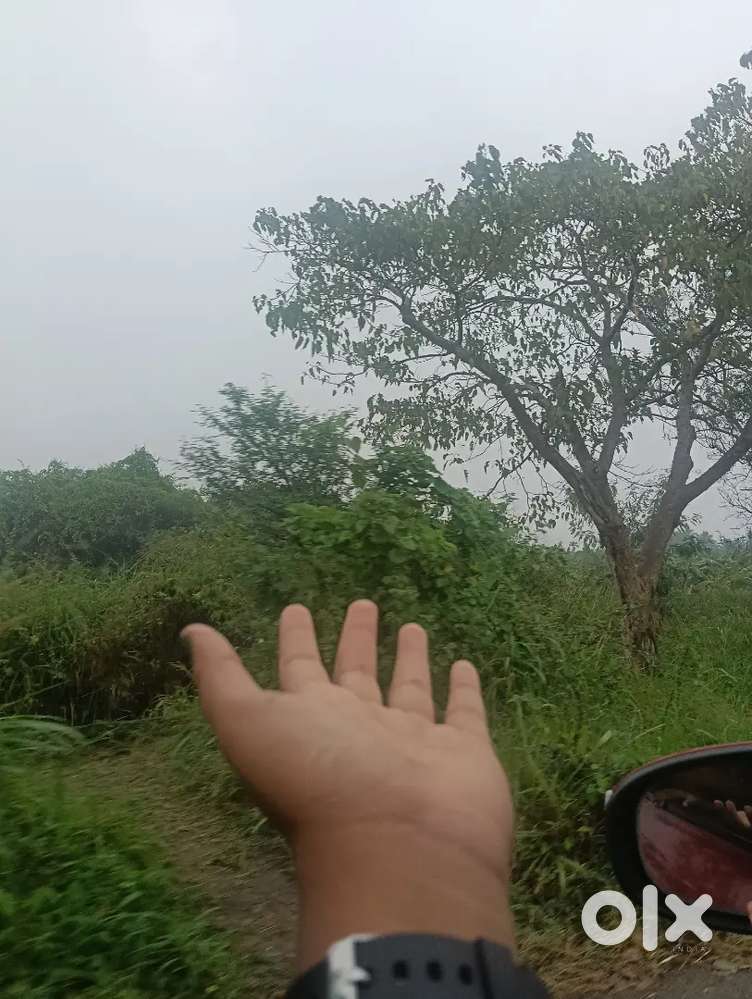 Im looking for work from home job