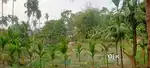 16 gonda pond in 56 lakhs