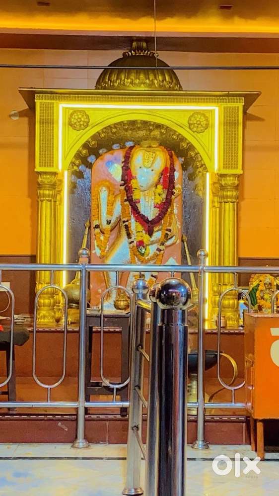 “I need a roommate; it can be either a boy or a girl.”