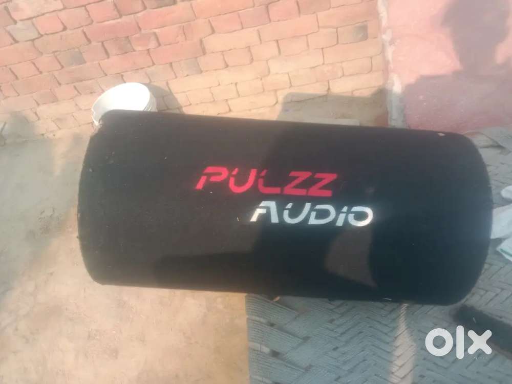 Pulzz speaker