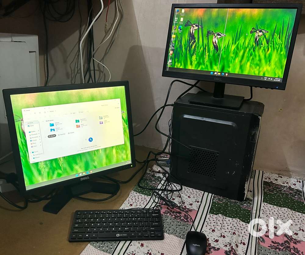 Budget Graphics computer dual monitor