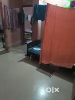 Need a girl roommate