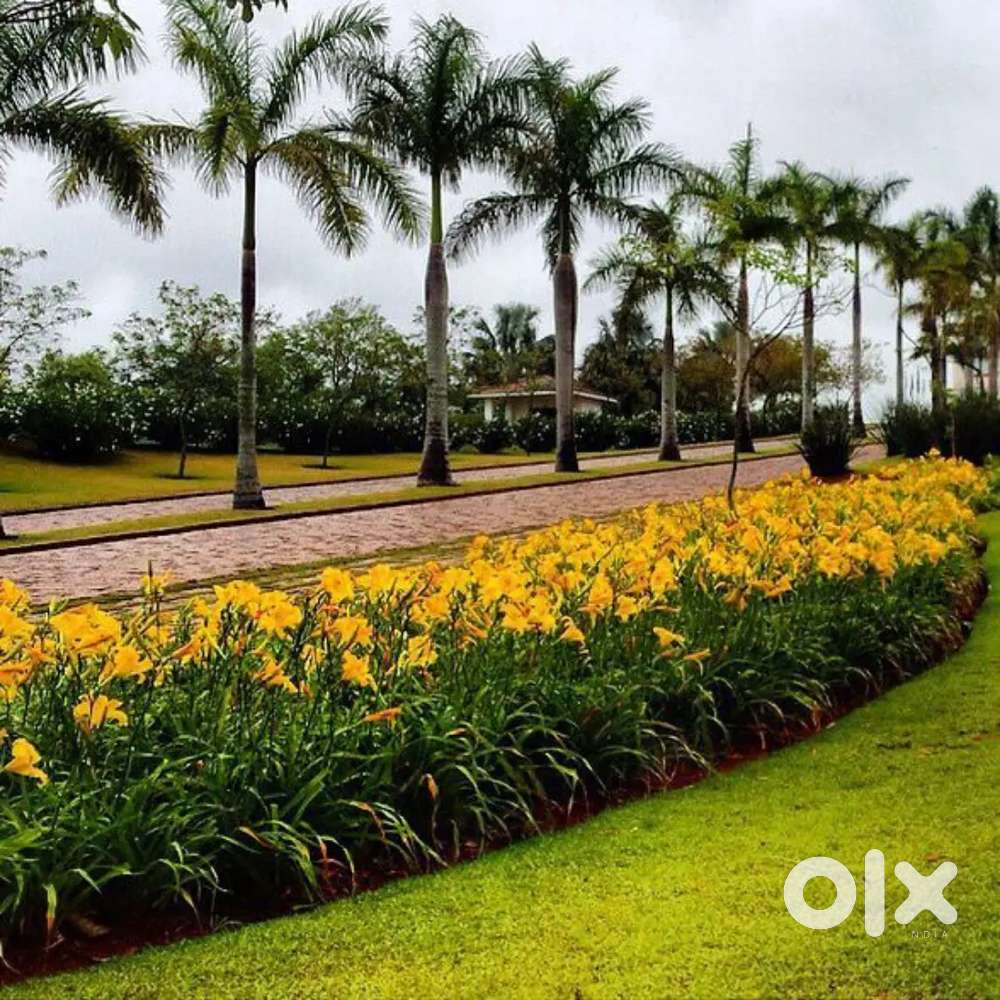 Plots Available For Sale