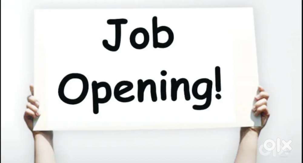 BOTH MALE AND FEMALE NEEDED TO WORK IN THE NEWLY OPENED OFFICE