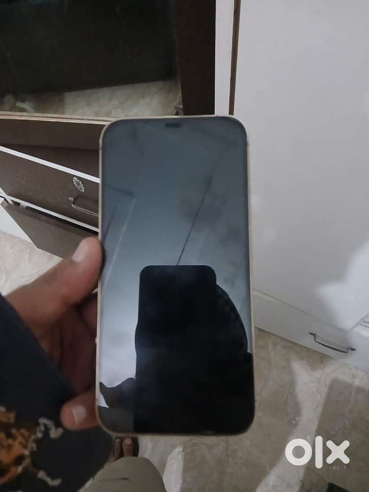 12 pro max 256gb