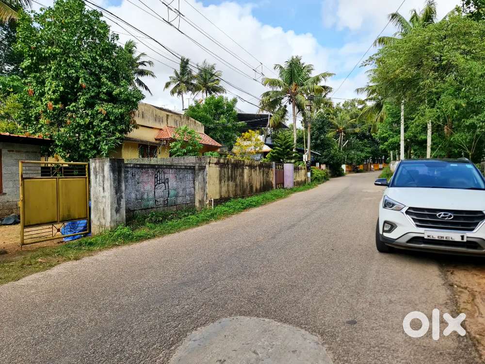 10cent Sreekariyam kariyam mukkilkkada chenkottukonam main road..