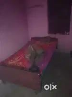 Only ladies and house wife
