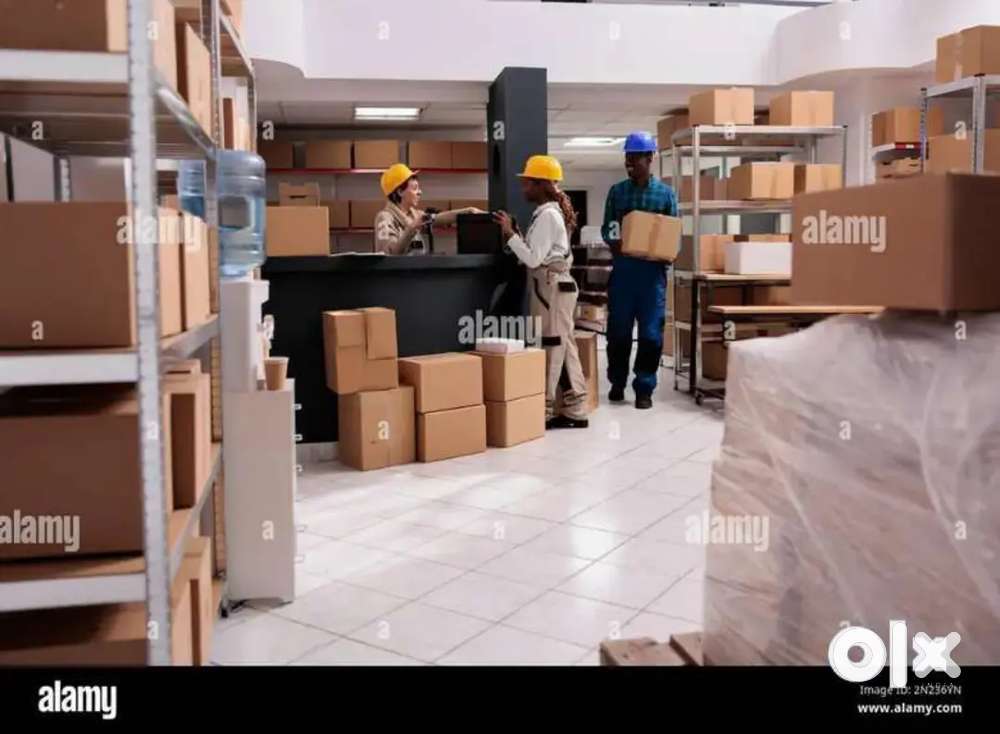 गोदाम में पैकिंग के लिये लड़के / लड़कियों की ज़रूरत है,