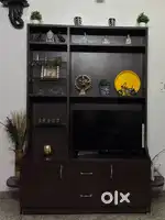 Television Unit