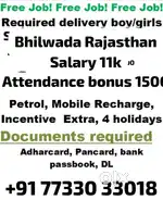 Parcel courier Bhilwara Jaipur