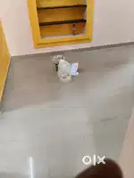 2 bhk house for rent