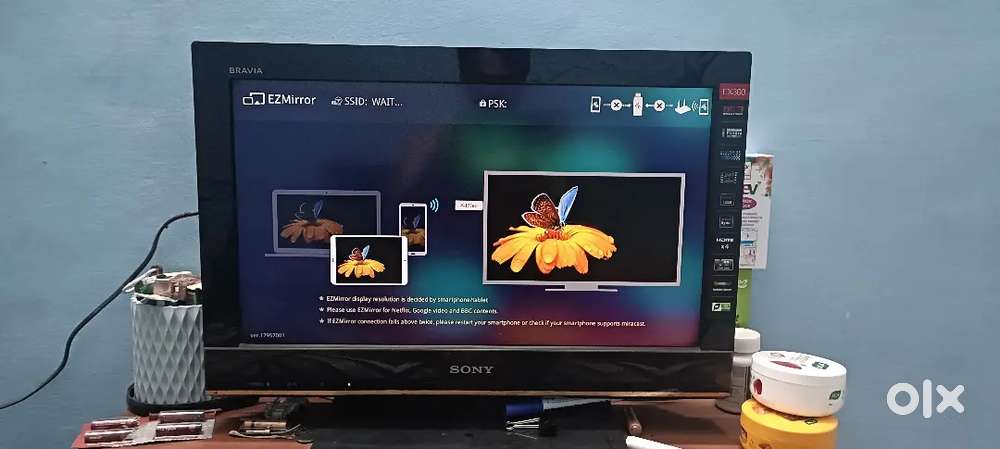 Sony Bravia TV