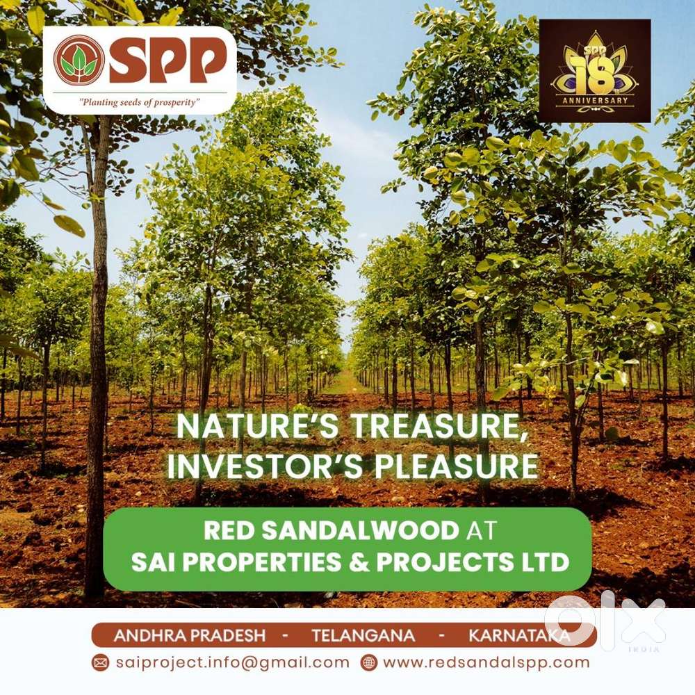 25 cents of agricultural land for only 9 lakh rupees, Only