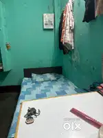 Need room partner
