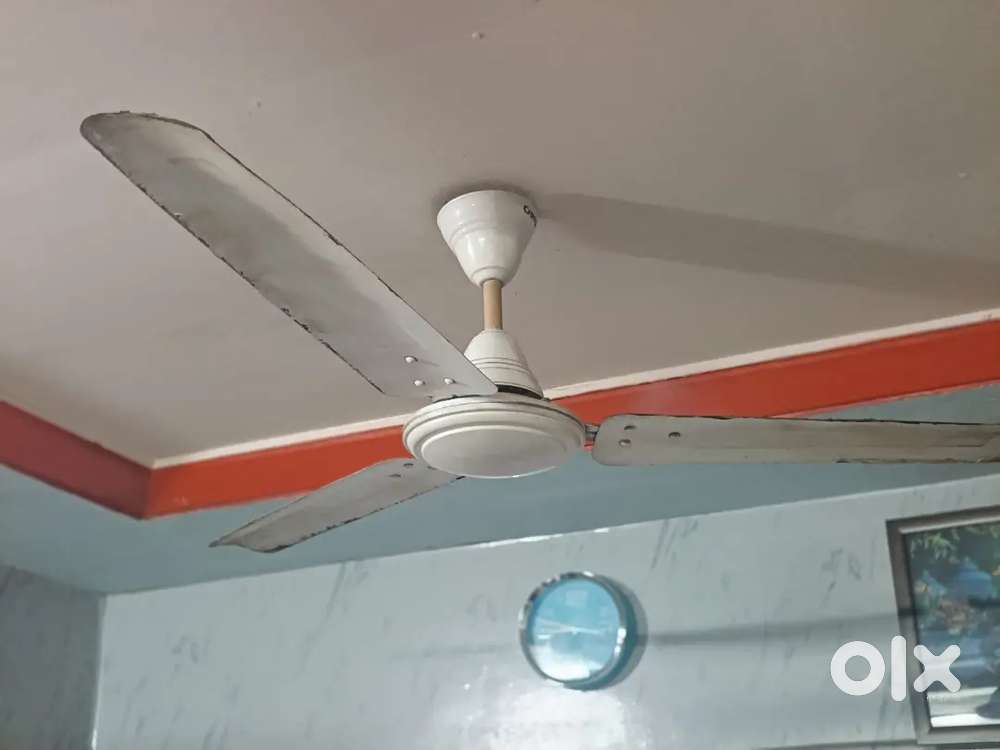 Ceiling fan
