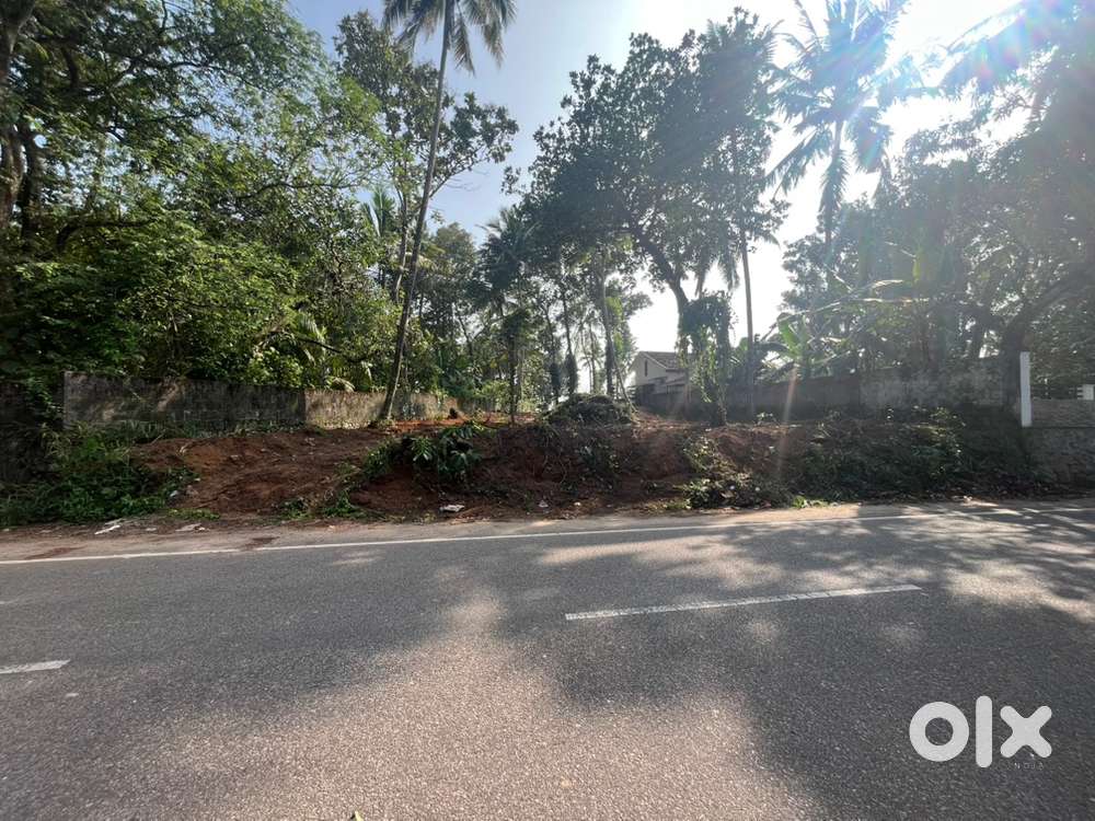 30 cent plot for sale in kattayikonam