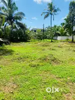 Tirur/Pullur Land for sale (13.5 cent)