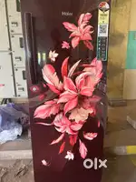 Haier Fridge