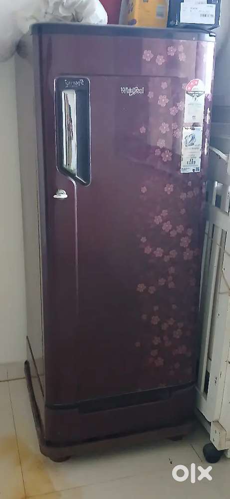 Singel door fridge