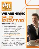 IT sales Executive required