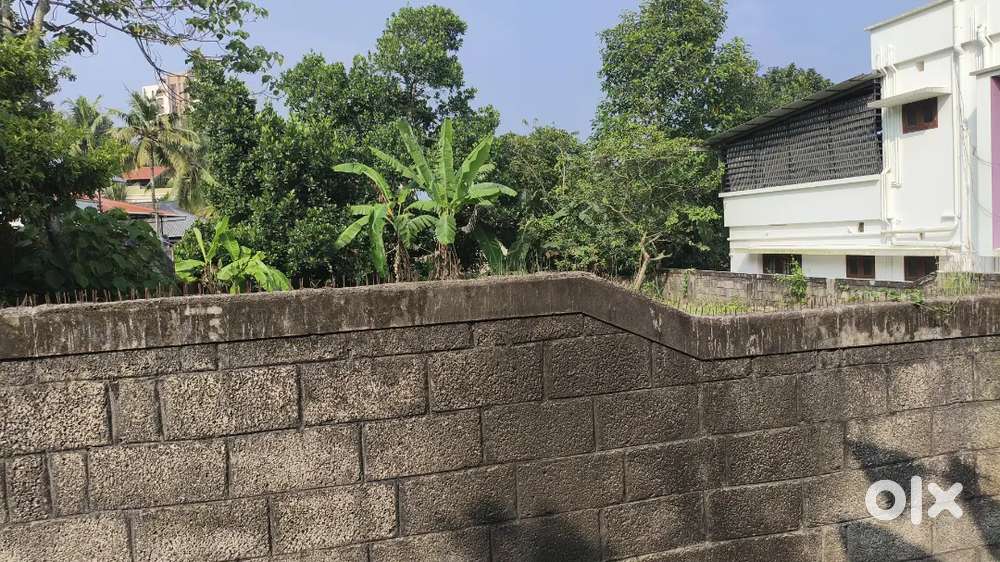 11 cent beautiful plot in kudappanakunnu