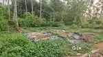 50 cent plot for sale