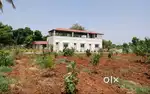 AGRICULTURE FARMLAND WITH HIGH RETURNS AND LAND APPRECIATION