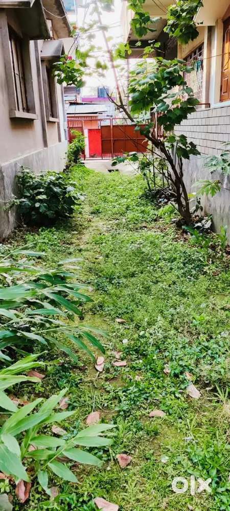 2380Sqft land for sale in Jorhat bansbari area