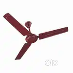 Cool Comfort with Maroon Marvel Ceiling Fan