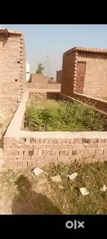 प्लाट ही प्लाट