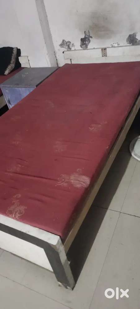 Palang 3*6 ka