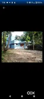 Rent for Offices and house