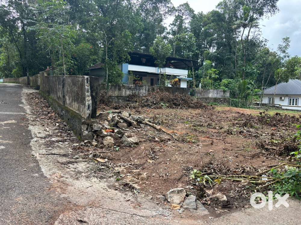 അടൂർ ടൗണിന് സമീപം 18 സെൻ്റ് പ്ലോട്ടുകളായി വിൽപനയ്ക്ക്