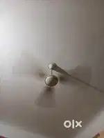 3 Fans sell