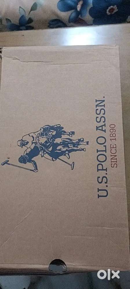 U.S. Polo Brand new Sneakers Size UK 10