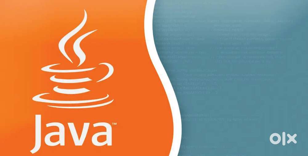 Website and java developer