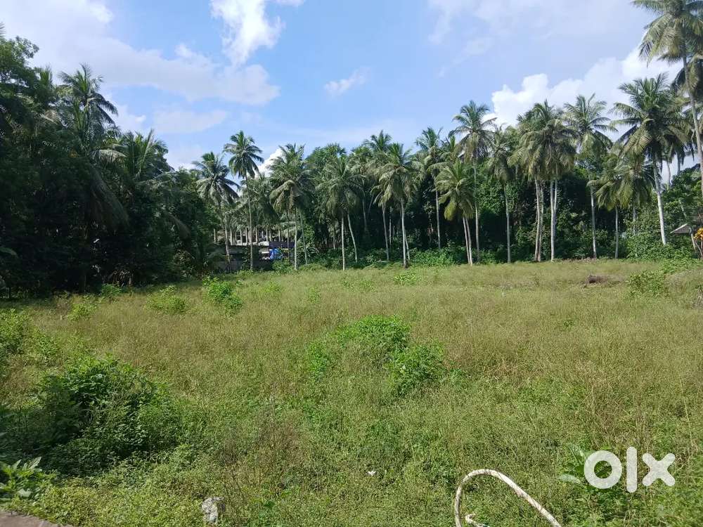 Sell my 60 cents land near chakalopalem and one building