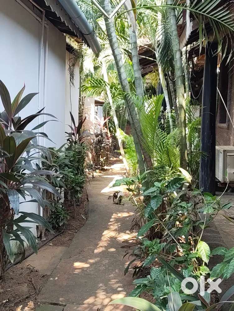 Chef and helper for Cafe- Goa