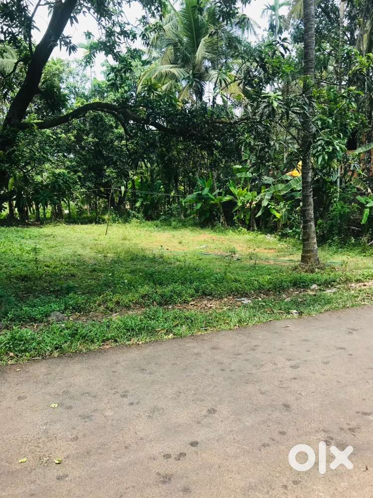 Plot for sale (Karumala village office road) 2,20,000/cent, Adjustable