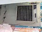 Cooler 2 year old