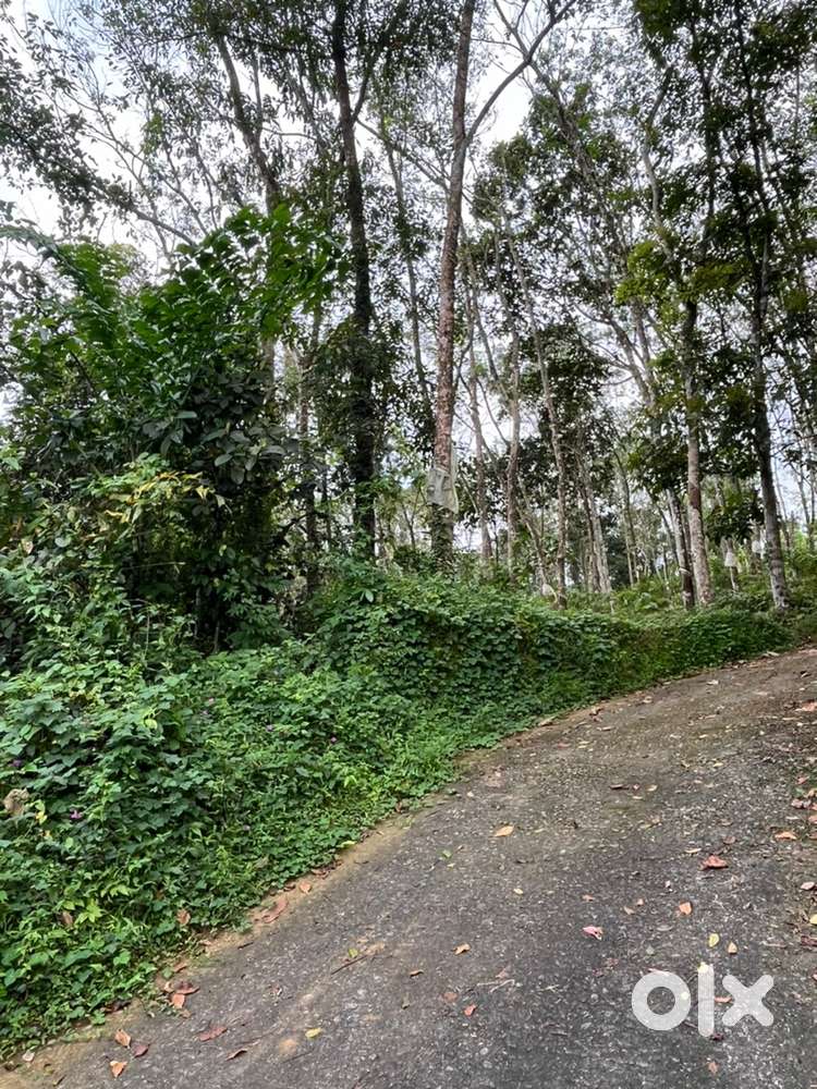 1 acre rubber plot for sale