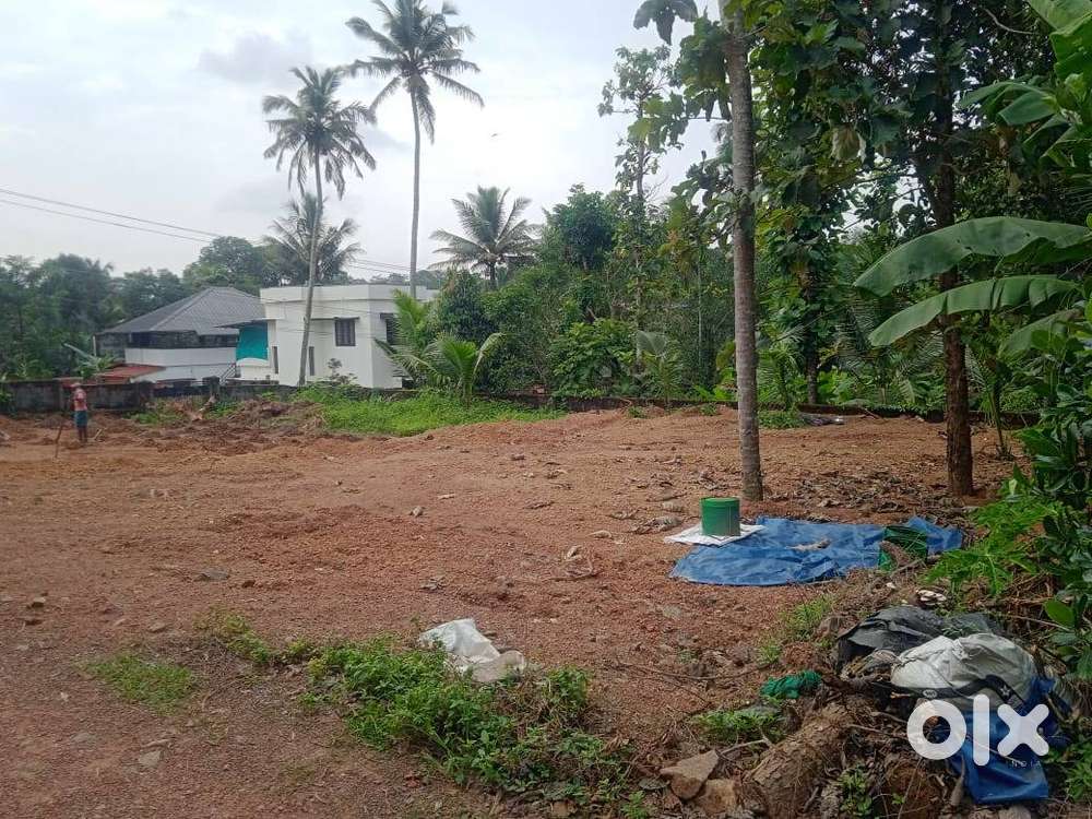 Plot For Sale @ Cheeranchira